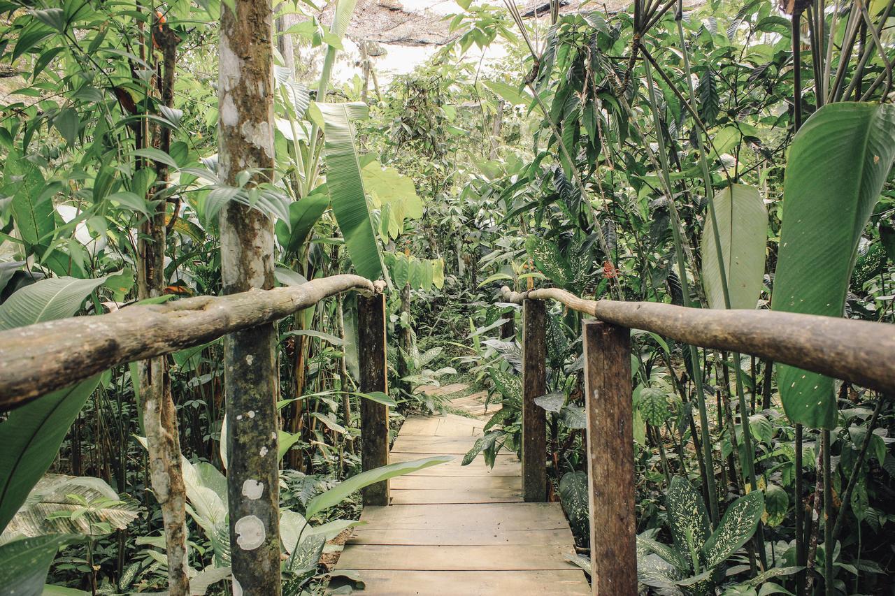 Libertad Jungle Lodge Юкуруче Экстерьер фото